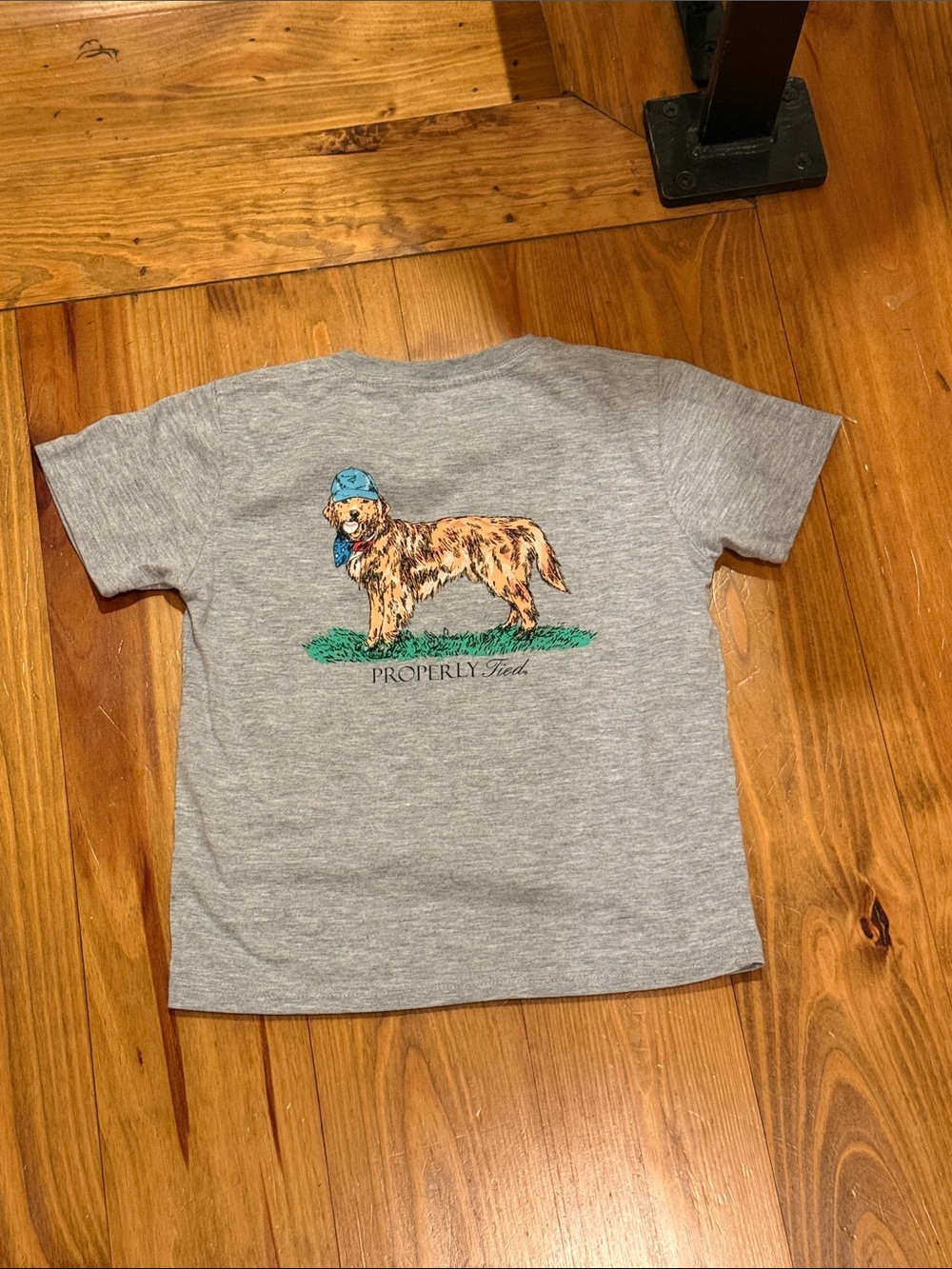 Properly Tied Gray Graphic Tee with Golden Retriever